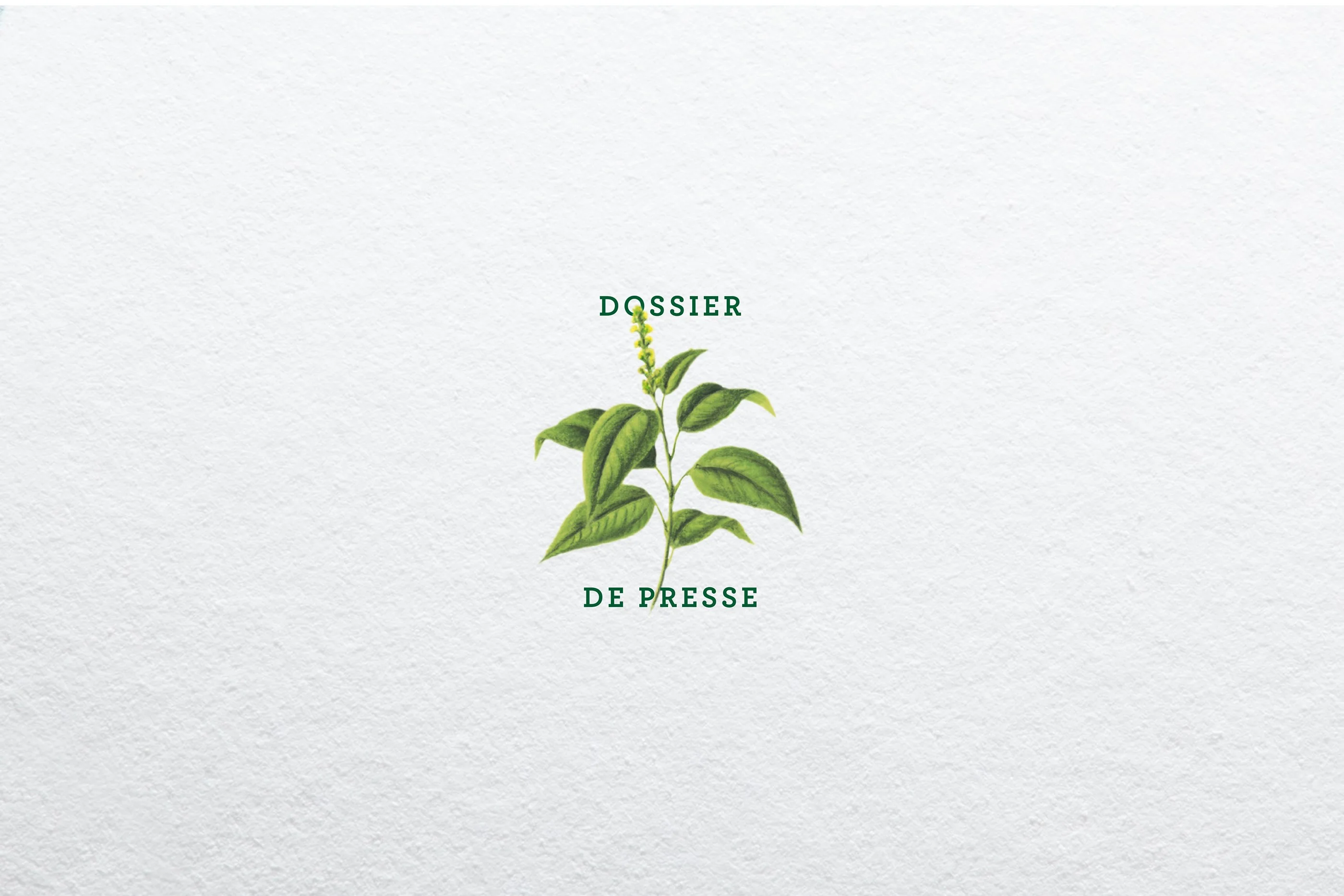 Mort Subite "Lambic Botanic" — visuel 3