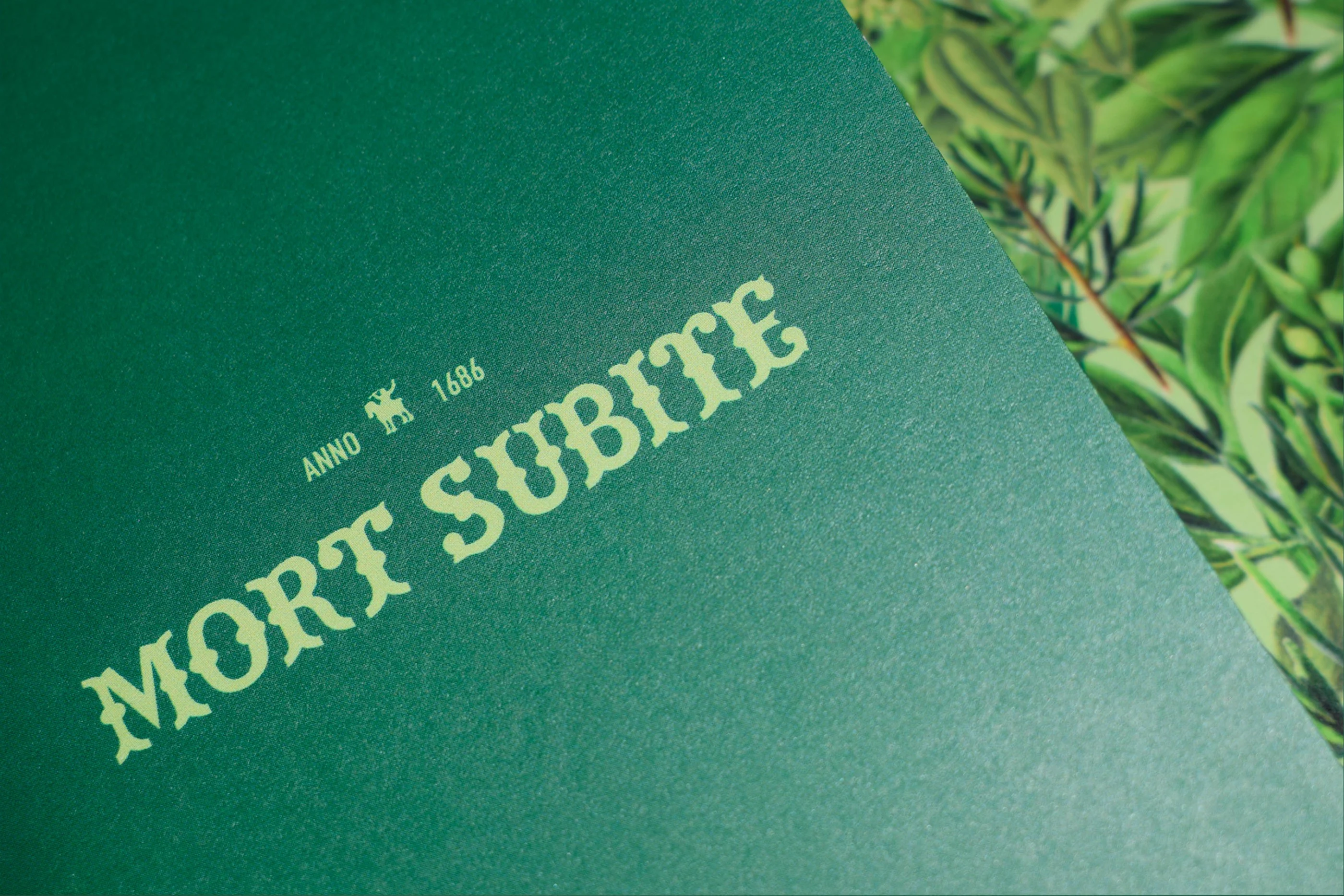 Mort Subite "Lambic Botanic" — visuel 7