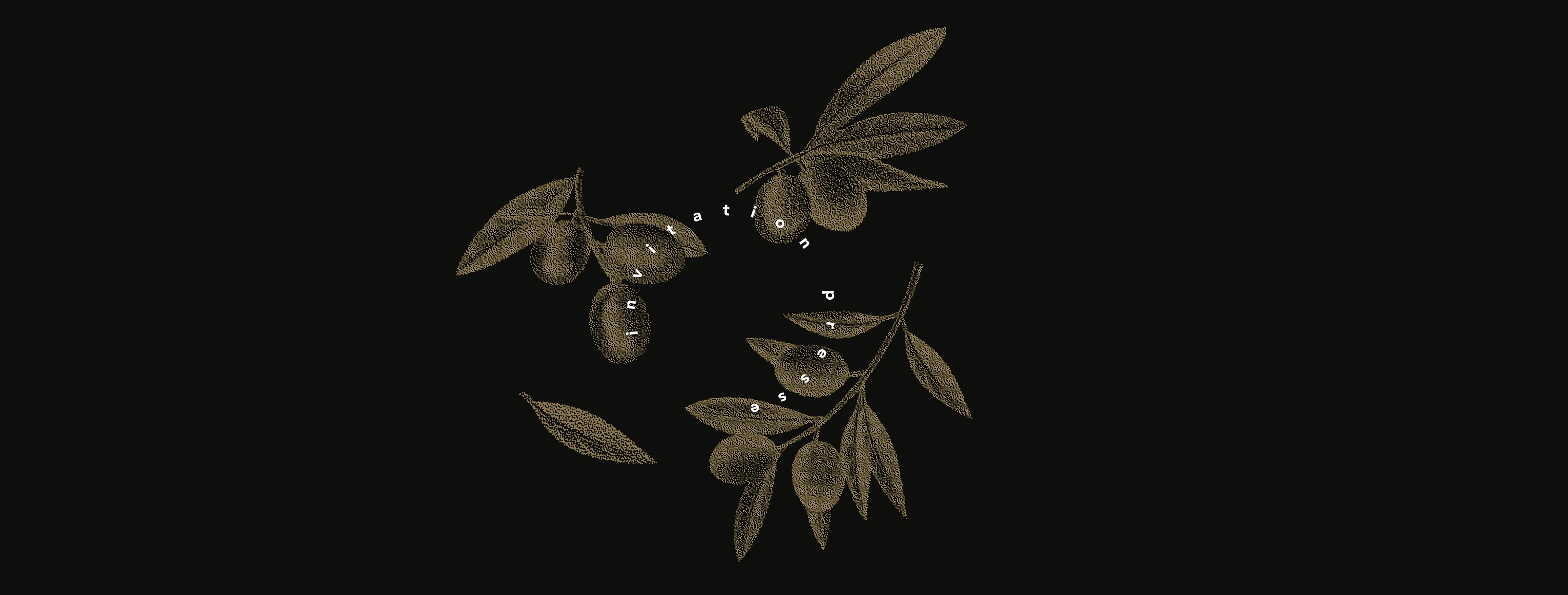 Terra Delyssa — visuel 2
