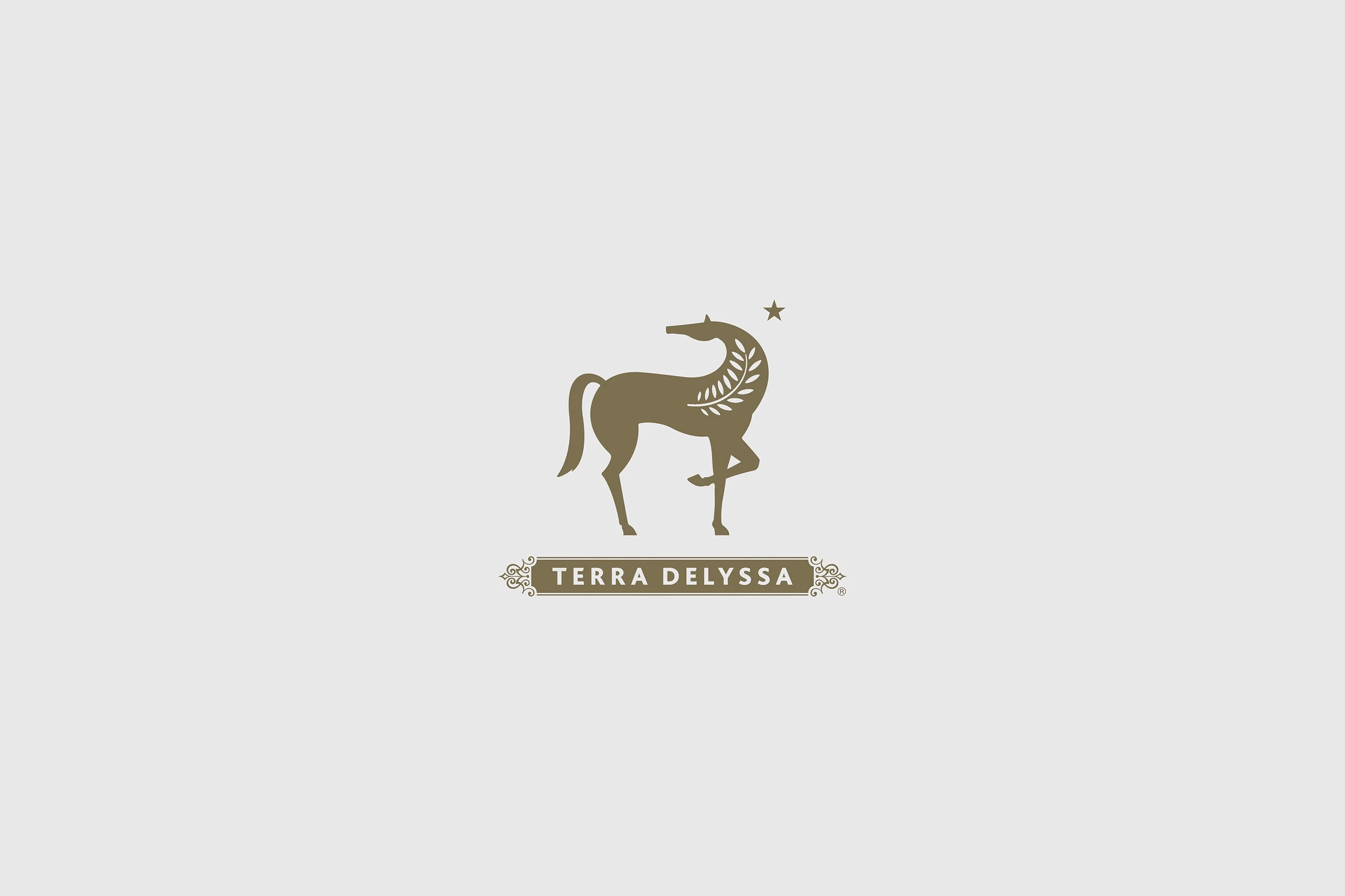 Terra Delyssa — visuel 3